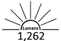 1262 Lumens