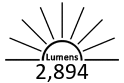 2,894 Lumens