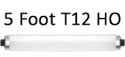 5 Foot T12 HO