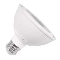 10 Watt - 750 Lumens 2700K - 40&amp;deg; Flood 90+ CRI - Dimmable PAR30 LED - Wet Rated Ushio