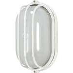 Oval Shaped