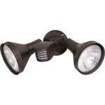 PAR Flood Lights