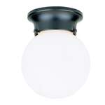 Globe Ceiling Fixtures