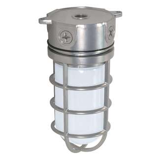 100 Watts Max Surface Mount Metallic Silver Outdoor Utility Light Nuvo Lighting