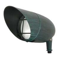 PAR38 - 1 Light - 150W Max Antique Verdi Finish Nuvo Lighting