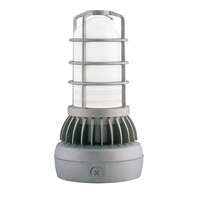 13 Watt - 729 Lumens 5000K - 120V-277V AC Uplight Ceiling Mount LED Vaporproof Fixture RAB Lighting
