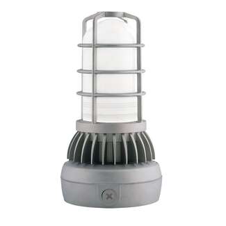 13 Watt - 729 Lumens 5000K - 120V-277V AC Uplight Ceiling Mount LED Vaporproof Fixture RAB Lighting