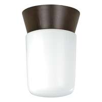 8" - 1 Light - 60W Max Bronzotic Finish White Glass Nuvo Lighting