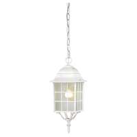 16" - 1 Light - 100W Max White Finish Frosted Glass Nuvo Lighting