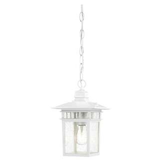 12" - 1 Light - 100W Max White Finish Clear Seeded Glass Nuvo Lighting