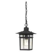 12" - 1 Light - 100W Max Textured Black Finish Clear Seeded Glass Nuvo Lighting