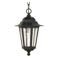 13" - 1 Light - 60W Max Textured Black Finish Clear Seeded Glass Nuvo Lighting