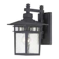 12" - 1 Light - 100W Max Textured Black Finish Clear Seed Glass Nuvo Lighting