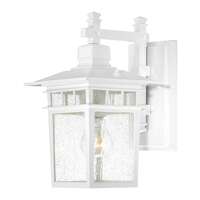 12" - 1 Light - 100W Max White Finish Clear Seed Glass Nuvo Lighting