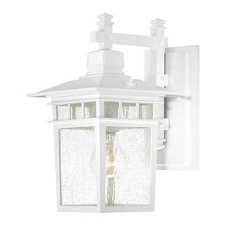 12" - 1 Light - 100W Max White Finish Clear Seed Glass Nuvo Lighting