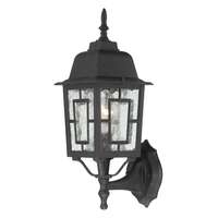 17" - 1 Light - 100W Max Textured Black Finish Clear Seed Glass Nuvo Lighting
