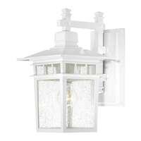 14" - 1 Light - 100W Max White Finish Clear Seed Glass Nuvo Lighting