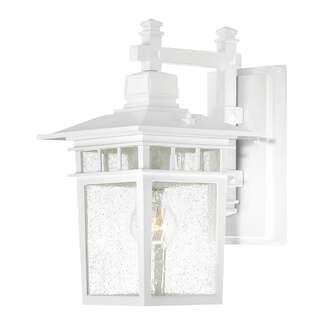 14" - 1 Light - 100W Max White Finish Clear Seed Glass Nuvo Lighting