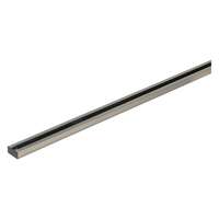 2 Foot - Brushed Nickel Track Lighting Track Nuvo Lighting