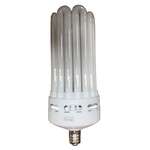 High Lumen CFL Lamps