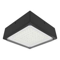 10 Watt - 1,971 Lumens 5000K - 120-277V 12" - IP66 Rating LED Canopy Light Fixture RAB Lighting