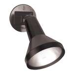 1 Light