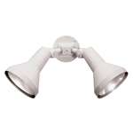 PAR Floodlights