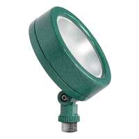 13 Watt - 1,138 Lumens 4000K - LED - 120-208V Verde Green - 6H x 6V Landscape Floodlight RAB Lighting