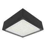 12 Inch Canopy Lights