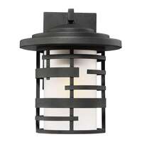 12" - 1 Light - 100W Max Textured Black Finish Etched Glass Nuvo Lighting