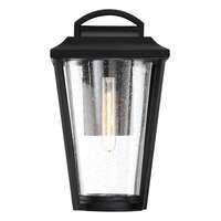 16" - 1 Light - 60W Max 60W T9 Lamp Included Aged Bronze Finish Clear Seed Glass Nuvo Lighting