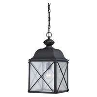 19" - 1 Light - 100W Max Textured Black Finish Clear Seed Glass Nuvo Lighting