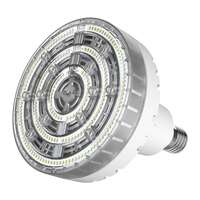 80W - 10,800 Lumens 5000K - 120 Degree Beam Direct Wire - No Ballast 100-277V - Mogul Base RAB Lighting