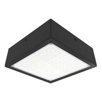 20 Watt - 3,228 Lumens 4000K - 120-277V 12" - IP66 Rating LED Canopy Light Fixture RAB Lighting