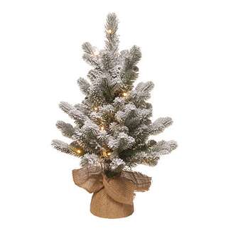 2&#39; Snowy Sheffield Spruce Artificial Tree 15 WW Battery Operated LEDs