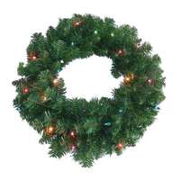 Holiday Wonderland 24&quot; Prelit PVC Wreath Multi - 20 Incandescents