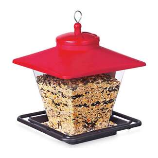 Hopper Cafe Bird Feeder 7 LB Seed Capacity