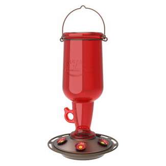 Red Glass Jug Hummingbird Feeder 23 OZ Nectar Capacity