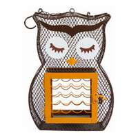 Owl Style Dual Bird Feeder Holds 3 LB Seeds &amp; 1 Suet