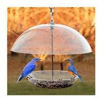 11.75&quot; Dome Top Seed &amp; Bluebird Bird Feeder