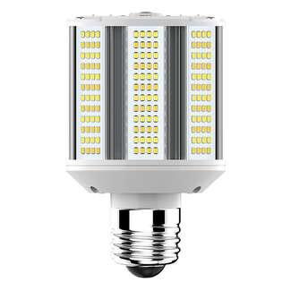5/10/20 Watt - 3000K-5000K 800 - 3,200 Lumens Direct Wire - No Ballast 100-277V - Medium Base RAB Lighting