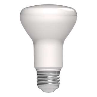 5.5 Watt - 500 Lumens Dimmable: 3000K to 2200K 90 CRI - 110&amp;deg; Wide Flood R20 LED - Damp Rated RAB Lighting