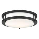 9" and 10" Fixtures