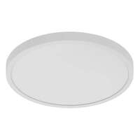 19" - LED - 2700K-5000K 30W - 2,250-2,450 Lumens 90 CRI - Dimmable 120V - Wet Rated RAB Lighting