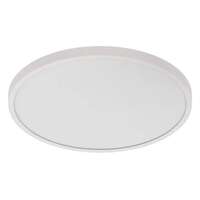 24" - LED - 2700K-5000K 35W - 2,600-2,850 Lumens 90 CRI - Dimmable 120V - Wet Rated RAB Lighting