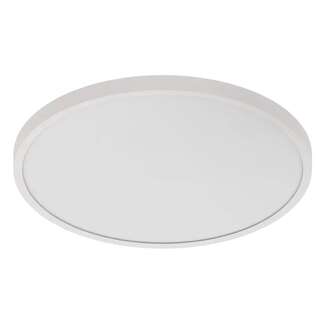 24" - LED - 2700K-5000K 35W - 2,600-2,850 Lumens 90 CRI - Dimmable 120V - Wet Rated RAB Lighting