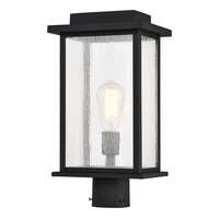 17" - 1 Light - 100W Max Matte Black Finish Clear Seed Glass Nuvo Lighting