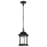 12.67" - 1 Light - 100W Max Matte Black Finish Clear Glass Nuvo Lighting