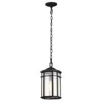 Raiden Collection Outdoor 14.5 inch Hanging Light; Matte Black Finish with Clear Seedy Glass