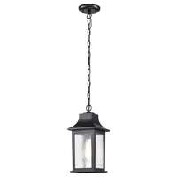13.8" - 1 Light - 100W Max Matte Black Finish Clear Water Glass Nuvo Lighting